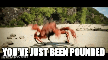 A Crab On A Beach With The Words " You 'Ve Just Been Pounded " GIF