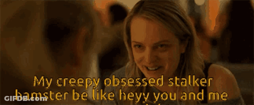 A Creepy Obsessed Stalker Hamster Is Like Hey You And Me GIF