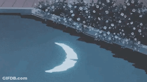 A Crescent Moon Is Floating On Top Of A Swimming Pool At Night . GIF