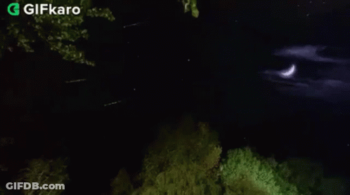 A Crescent Moon Is Visible In The Night Sky Over A Forest GIF