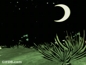 A Crescent Moon Rises Over A Field Of Grass GIF