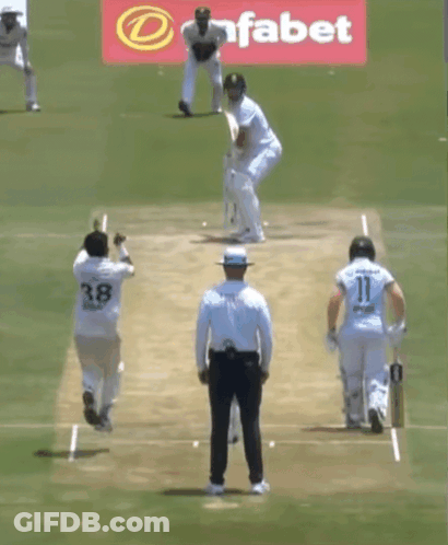 A Cricket Game Is Being Played In Front Of A Dafabet Ad GIF
