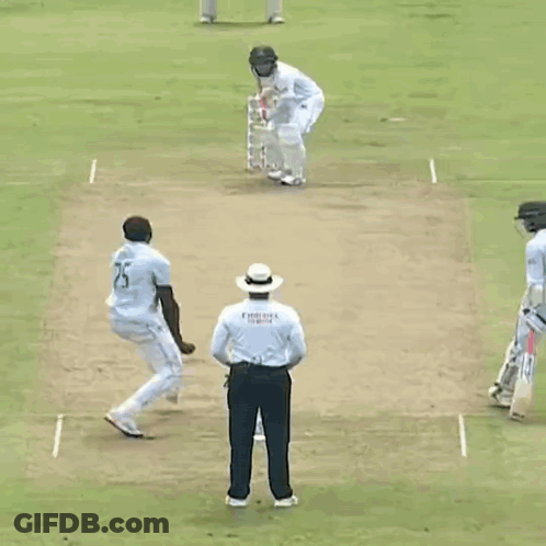 A Cricket Game Is Being Played On A Field With A Referee Wearing A Emirates Shirt GIF