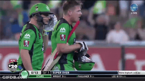 A Cricket Game Is Being Played On A Screen That Says Ten GIF