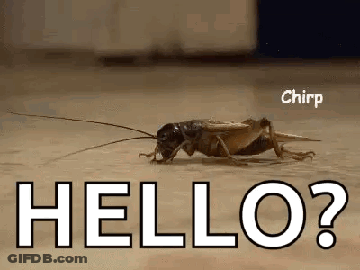 A Cricket Is Crawling On A Wooden Floor With The Words `` Hello ? '' Above It . GIF