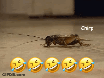 A Cricket Is Crawling On The Floor With Laughing Faces Behind It GIF