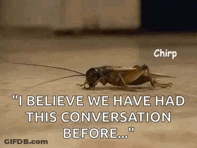 A Cricket Is Crawling On The Floor With The Words `` I Believe We Have Had This Conversation Before ... '' GIF