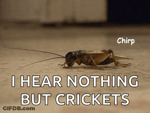 A Cricket Is Crawling On The Ground With The Words I Hear Nothing But Crickets Below It GIF