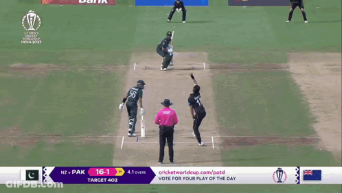 A Cricket Match Between Pakistan And New Zealand Is Being Played GIF