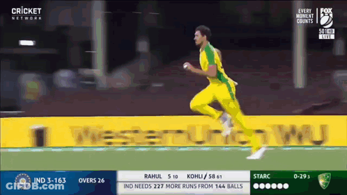 A Cricket Match Is Being Played On Fox 2 GIF