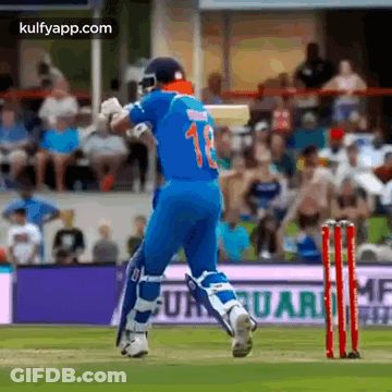 A Cricket Player Wearing A Blue Jersey With The Number 13 On It Is Running Towards The Wicket . GIF