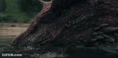 A Crocodile Is Swimming In A Body Of Water . GIF
