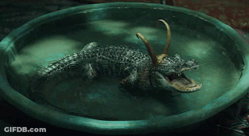 A Crocodile With Horns On Its Head Is Swimming In A Bowl Of Water GIF