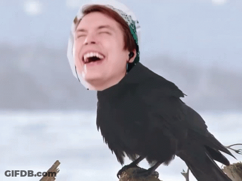 A Crow With A Man 'S Face On Its Head GIF
