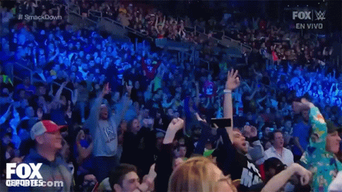 A Crowd Of People Are Watching A Wrestling Match On Fox Sports GIF
