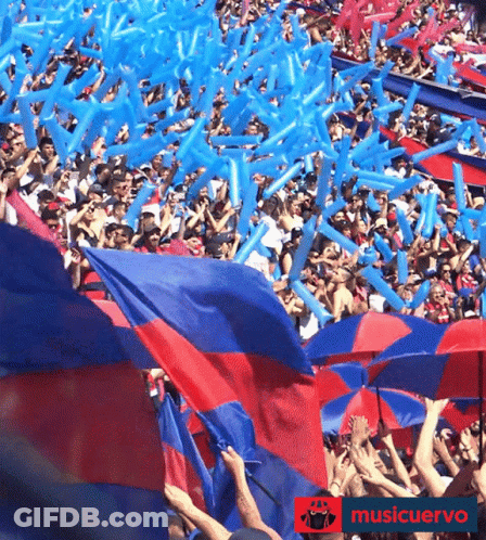 A Crowd Of People Holding Up Red And Blue Umbrellas And Balloons With The Words Musicuervo On The Bottom Right GIF