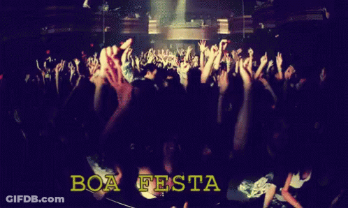 Crowd Raising Arms With Boa Festa Background GIF
