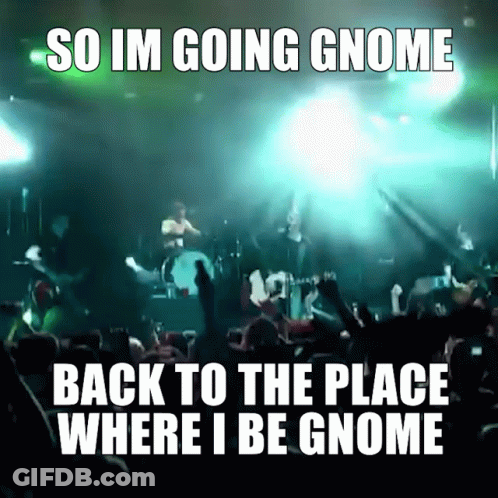 A Crowd Of People Watching A Band On Stage With The Words So Im Going Gnome Back To The Place Where I Be Gnome Below The GIF