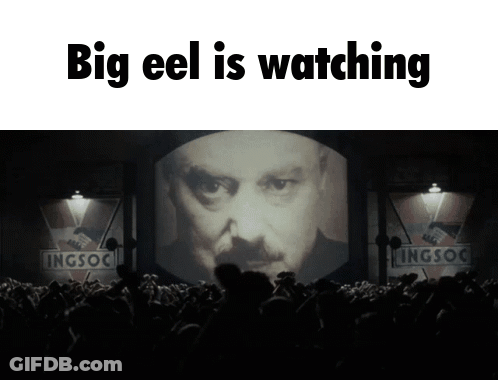 A Crowd Of People Watching A Man 'S Face On A Screen With The Words Big Eel Is Watching GIF