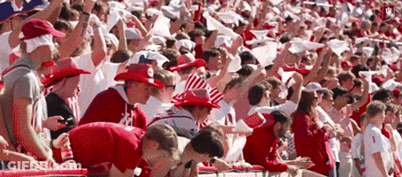 A Crowd Of People Wearing Red And White Striped Hats Are Sitting In A Stadium GIF