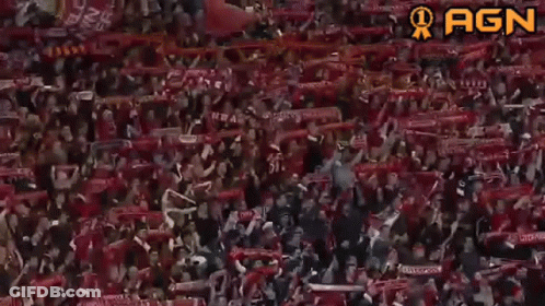 A Crowd Of People Wearing Red Scarves With Ynwa Written On It GIF