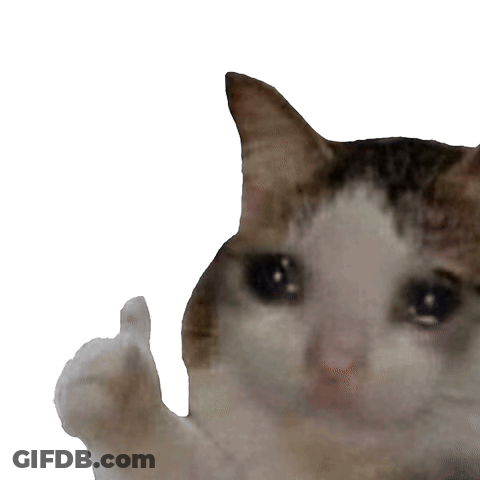 A Crying Cat Is Giving A Thumbs Up GIF