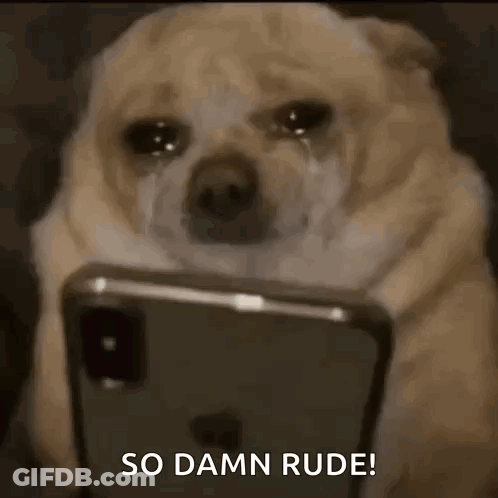 A Crying Dog Is Looking At A Cell Phone . GIF