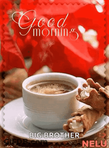A Cup Of Coffee And Cannoli On A Saucer With The Words Good Morning Big Brother Written On It GIF