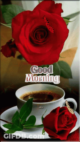 A Cup Of Coffee Next To A Red Rose With The Words Good Morning Written On It GIF
