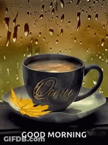 A Cup Of Coffee On A Saucer In Front Of A Window With Rain Drops On It . GIF