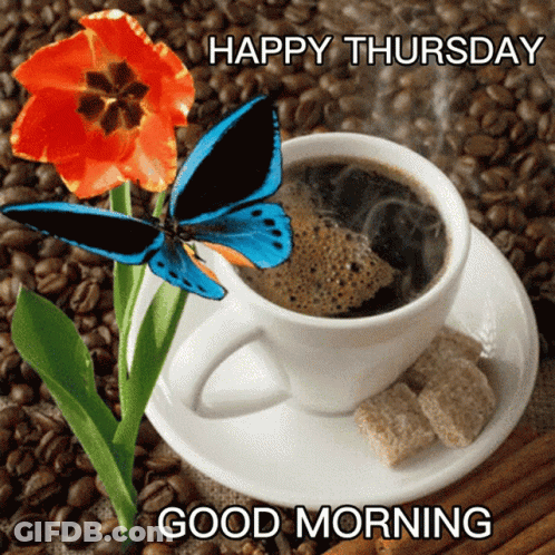 A Cup Of Coffee On A Saucer With A Flower And A Butterfly With The Words Happy Thursday Good Morning GIF