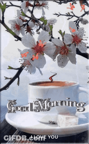 A Cup Of Coffee On A Saucer With The Words Good Morning I Love You On The Bottom GIF