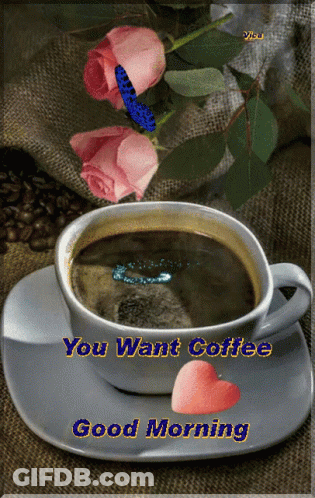 A Cup Of Coffee On A Saucer With The Words " You Want Coffee Good Morning " GIF