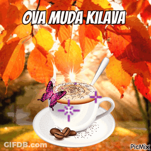 A Cup Of Coffee With A Butterfly On It And The Words Ova Muda Kilava GIF