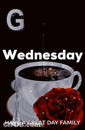 A Cup Of Coffee With A Red Rose And The Words Goo Wednesday GIF