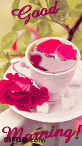 A Cup Of Coffee With A Red Rose On A Saucer And The Words Good Morning GIF
