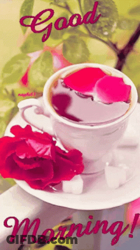 A Cup Of Coffee With A Rose On A Saucer With The Words Good Morning GIF