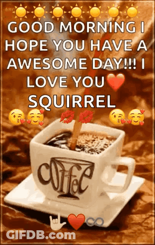 A Cup Of Coffee With The Words `` Good Morning I Hope You Have A Awesome Day !! I Love You Squirrel '' On It GIF
