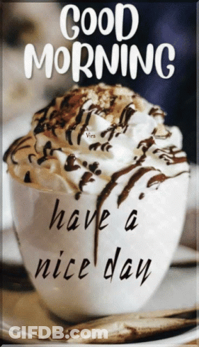A Cup Of Hot Chocolate With Whipped Cream And Chocolate Shavings And The Words Good Morning Have A Nice Day GIF