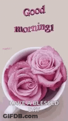 A Cup Of Pink Roses With The Words `` Good Morning ! Have A Blessed Day '' . GIF