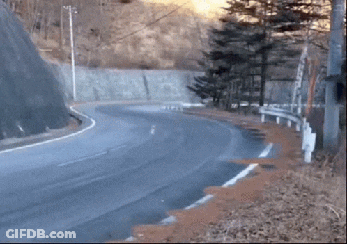 A Curve In A Road With Trees On The Side GIF