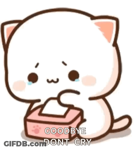 A Cute Cartoon Cat Is Crying While Holding A Box Of Tissues . GIF