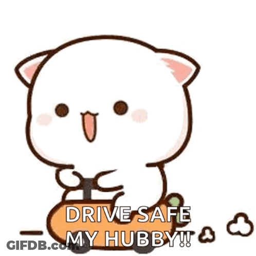A Cute Cartoon Cat Is Sitting On A Pumpkin And Says `` Drive Safe My Hubby '' . GIF
