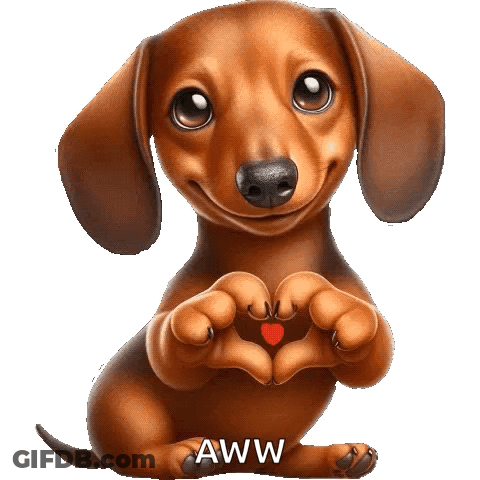 A Dachshund Is Making A Heart Shape With Its Paws And Says Aww On The Bottom GIF
