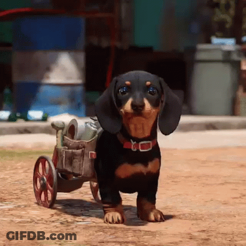A Dachshund Is Pushing A Wheelchair On A Dirt Road GIF