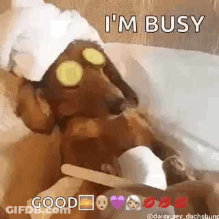 A Dachshund Wearing A Towel And Cucumber Slices On Its Eyes Is Laying In A Bathtub . GIF