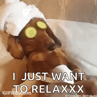 A Dachshund With Cucumber Slices On Its Eyes And A Towel Wrapped Around Its Head . GIF