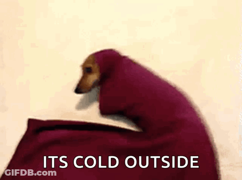 A Dachshund Wrapped In A Red Blanket With The Words `` It 'S Cold Outside '' Above It . GIF