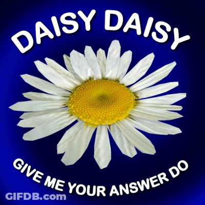 A Daisy With The Words Daisy Daisy Give Me Your Answer Do On It GIF