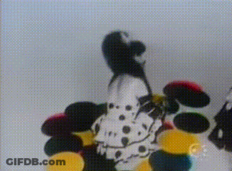 A Dalmatian Is Standing In Front Of A Bunch Of Colorful Balls GIF